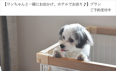 【ワンちゃんと一緒にお出かけ、ホテルでお泊り♪】プラン